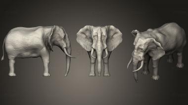 3D model Elephant (2) (STL)